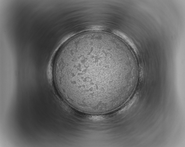 X0000101460835200807211331