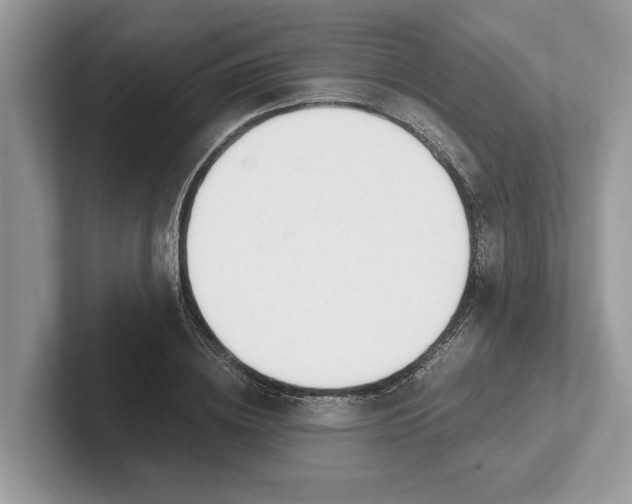 X0000101460836200807211331
