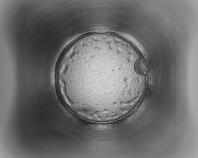 X0000101460839200807211332