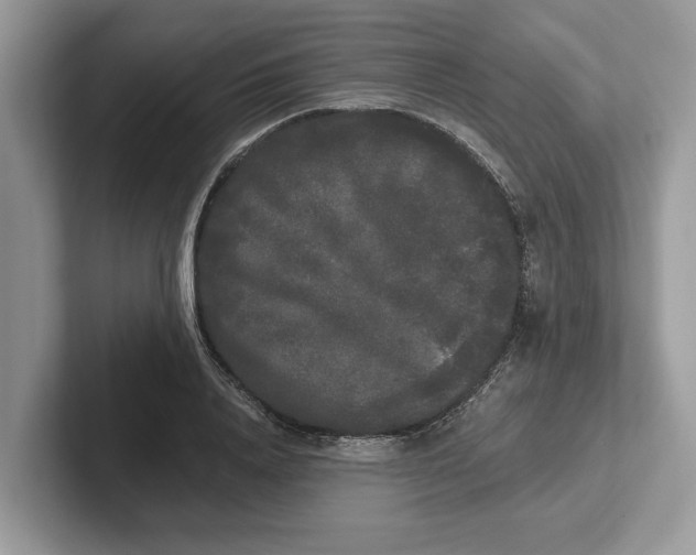 X0000101460840200807211332