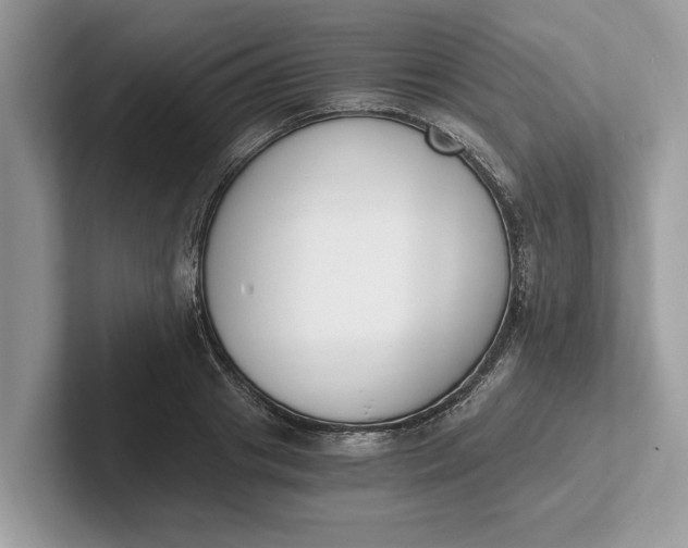 X0000101460841200807211332