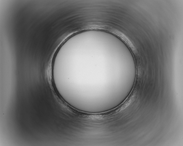 X0000101460844200807211332