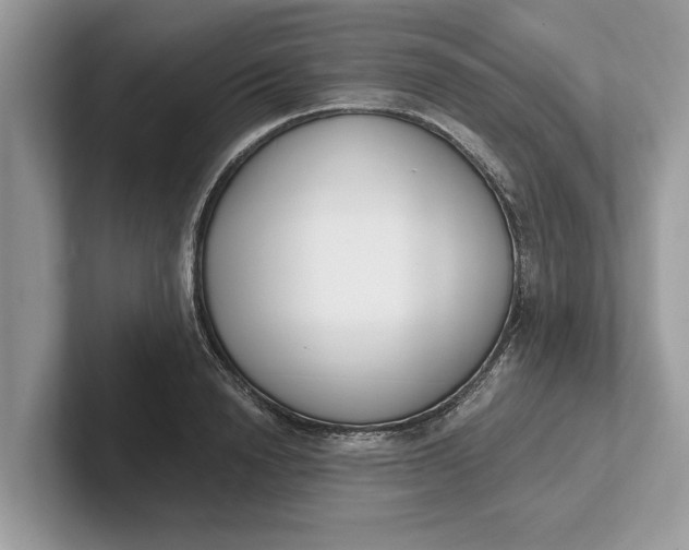 X0000101460846200807211332