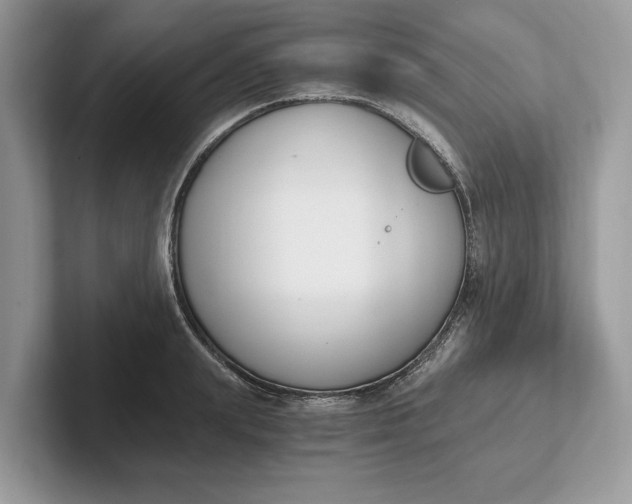 X0000101460847200807211332