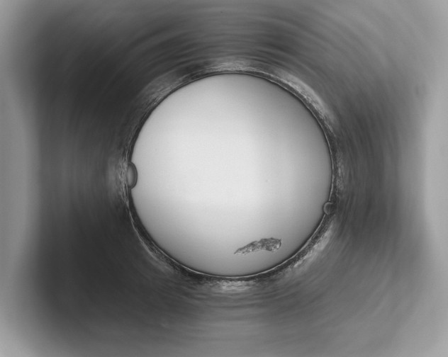 X0000101460849200807211332