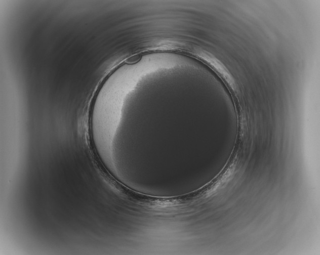 X0000101460850200807211332