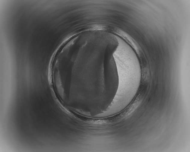X0000101460851200807211332