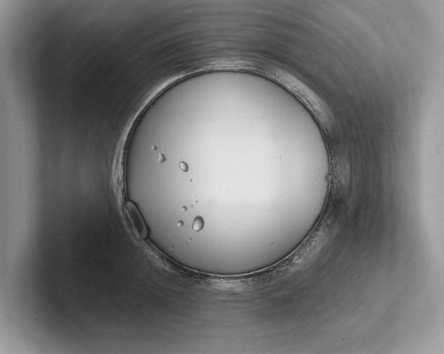 X0000101460852200807211332