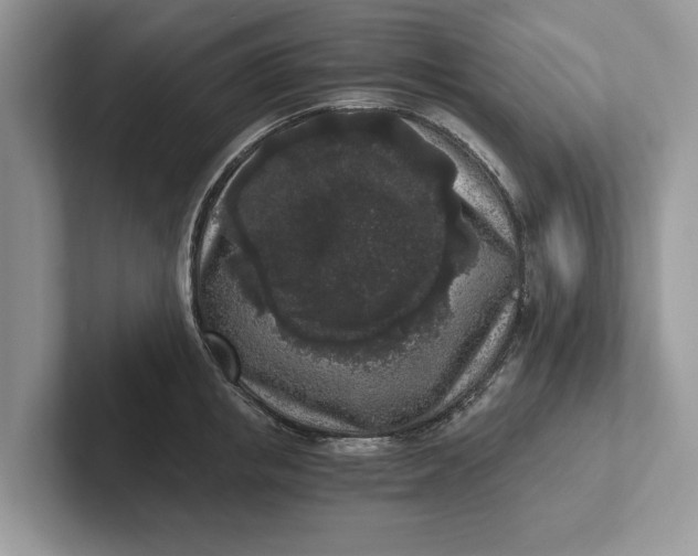 X0000101460853200807211332