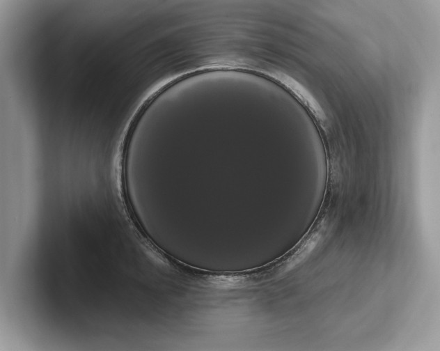 X0000101460854200807211332