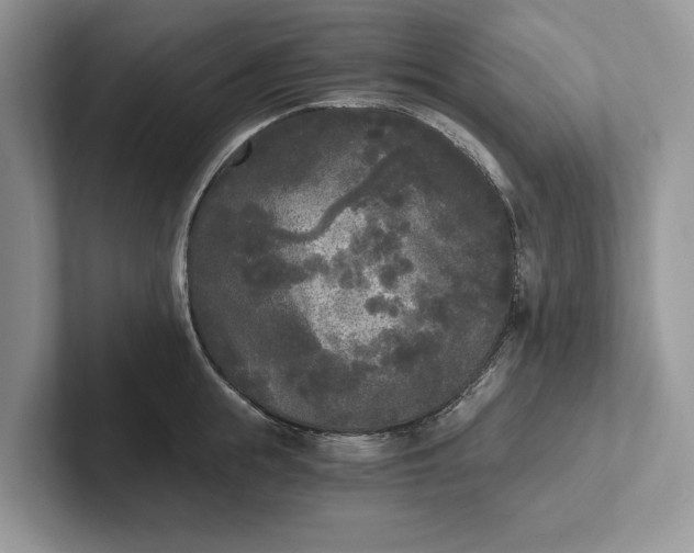 X0000101460855200807211332