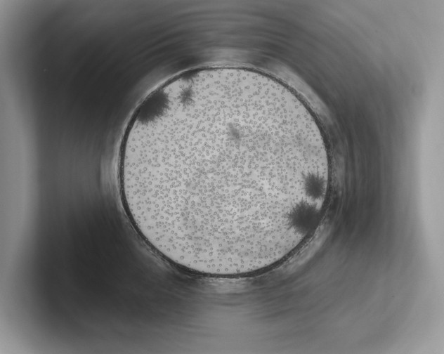 X0000101460856200807211332