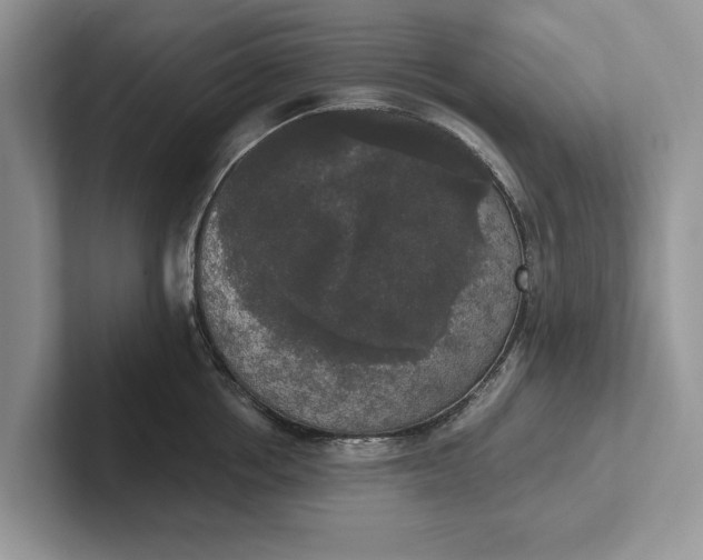 X0000101460858200807211332