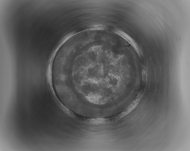 X0000101460859200807211332