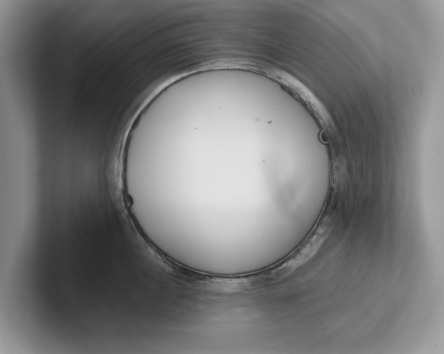 X0000101460860200807211332
