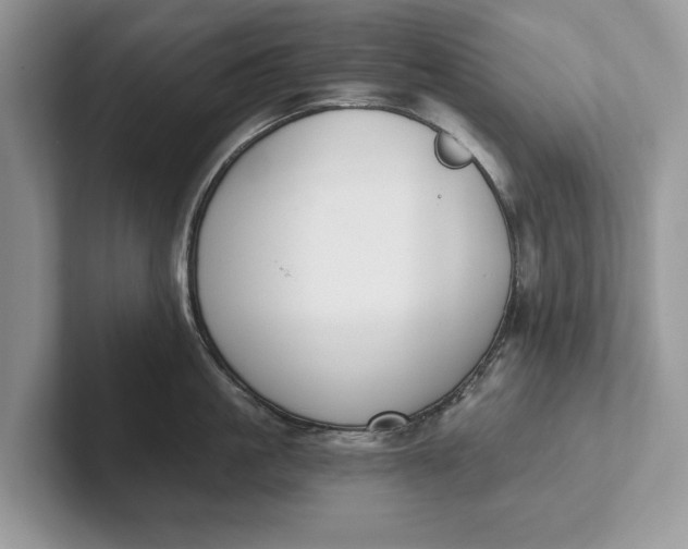 X0000101460861200807211332