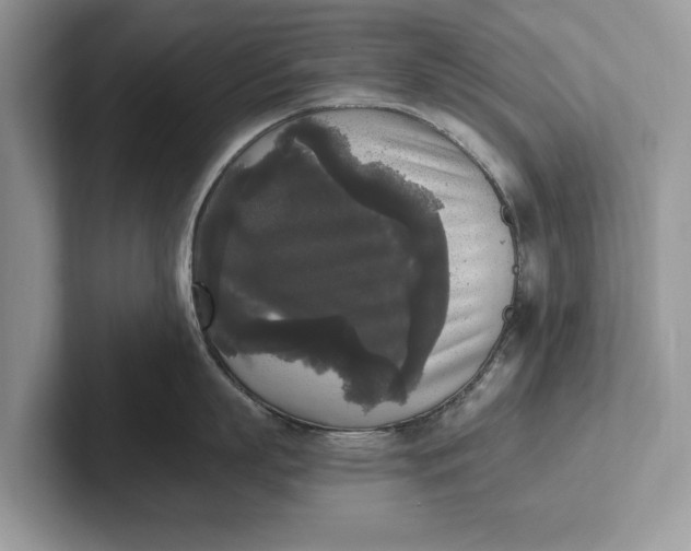 X0000101460863200807211332