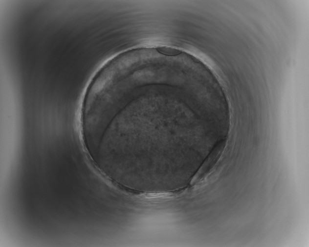 X0000101460864200807211332
