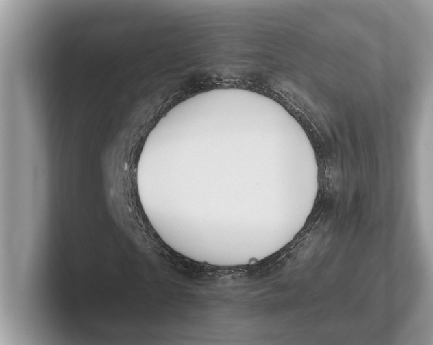 X0000101460865200807211331