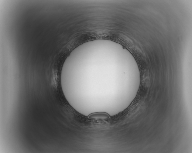 X0000101460866200807211331