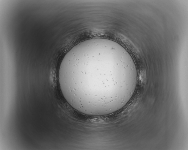 X0000101460867200807211331