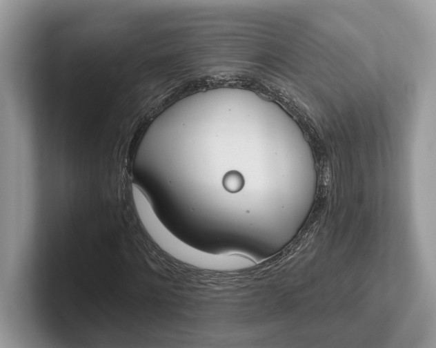 X0000101460868200807211331
