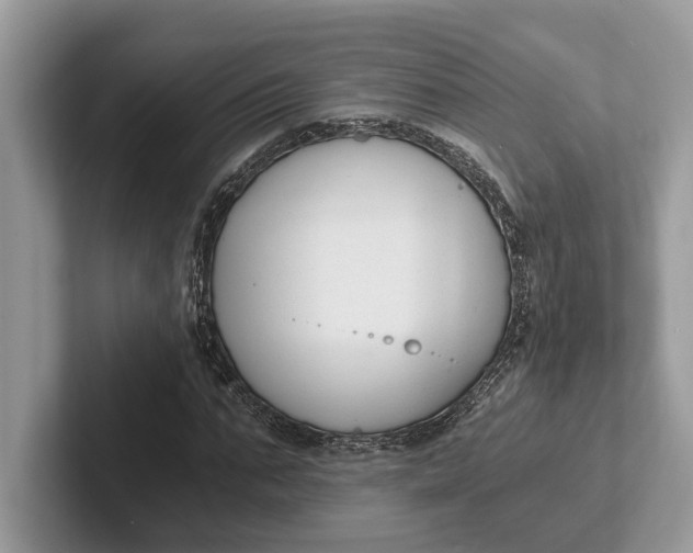 X0000101460871200807211331