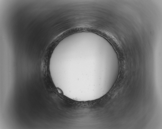 X0000101460872200807211331