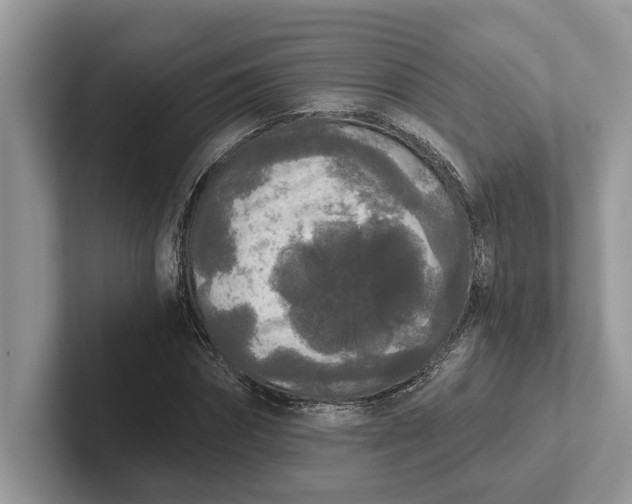 X0000101460874200807211331