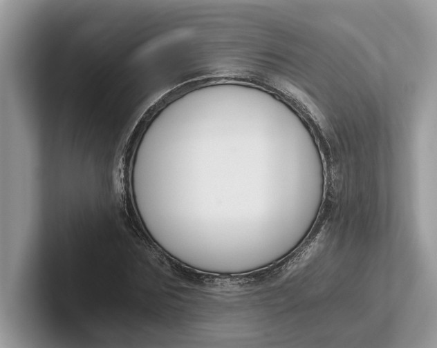 X0000101460875200807211331