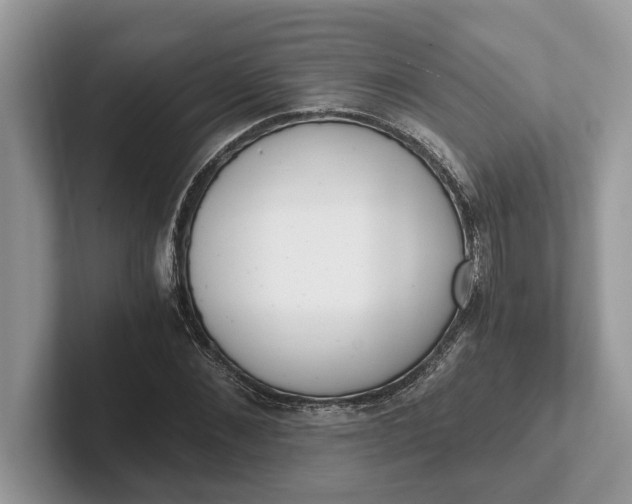 X0000101460876200807211331