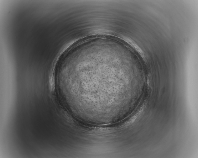X0000101460877200807211331