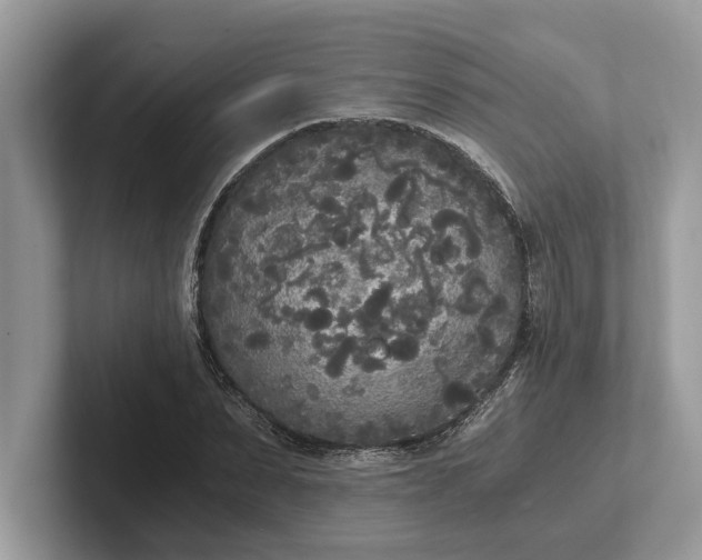 X0000101460879200807211331