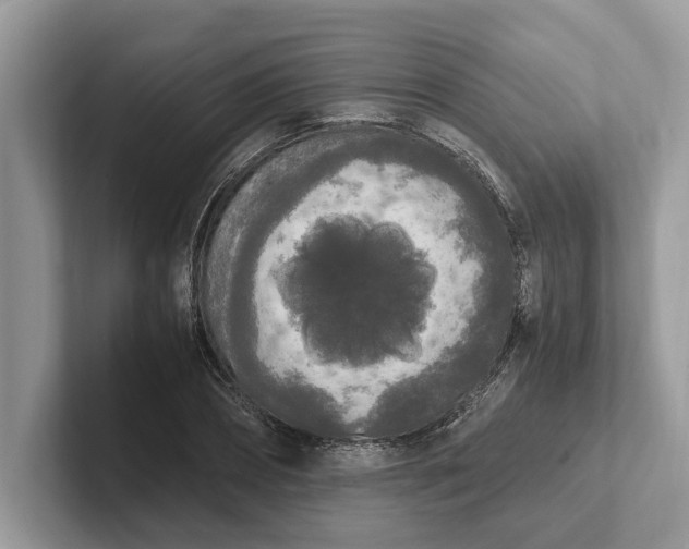 X0000101460882200807211331