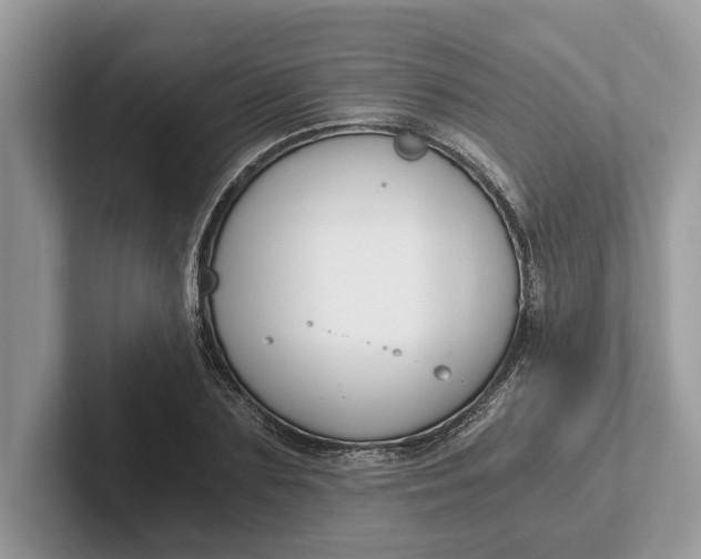 X0000101460883200807211331