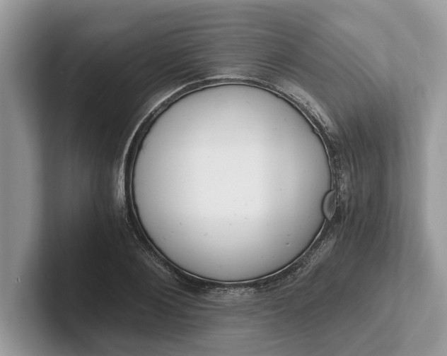 X0000101460884200807211331