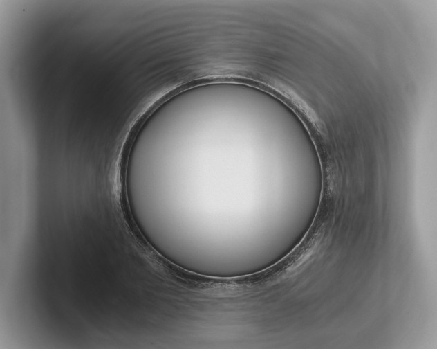 X0000101460885200807211331