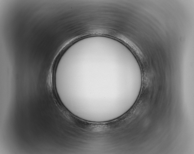 X0000101460886200807211331