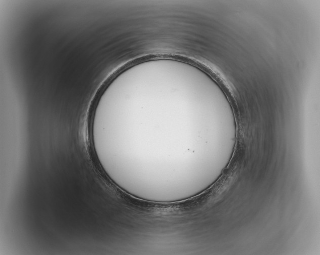 X0000101460887200807211331