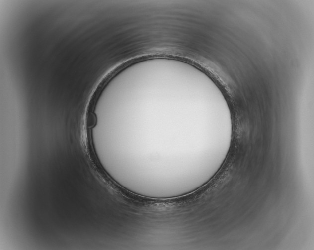 X0000101460888200807211331
