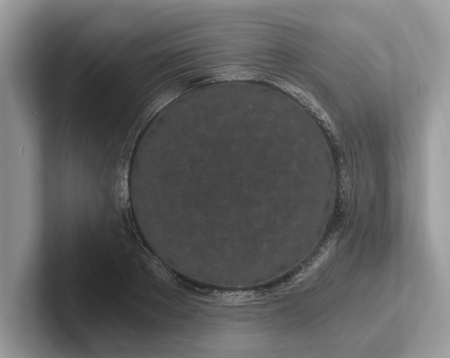 X0000101460889200807211331
