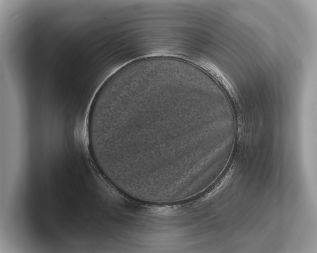X0000101460892200807211331