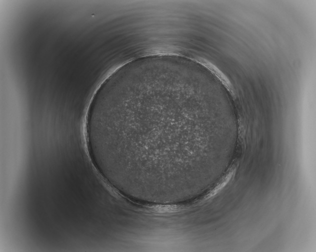 X0000101460893200807211331