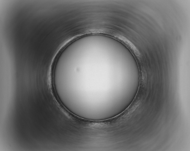 X0000101460894200807211331