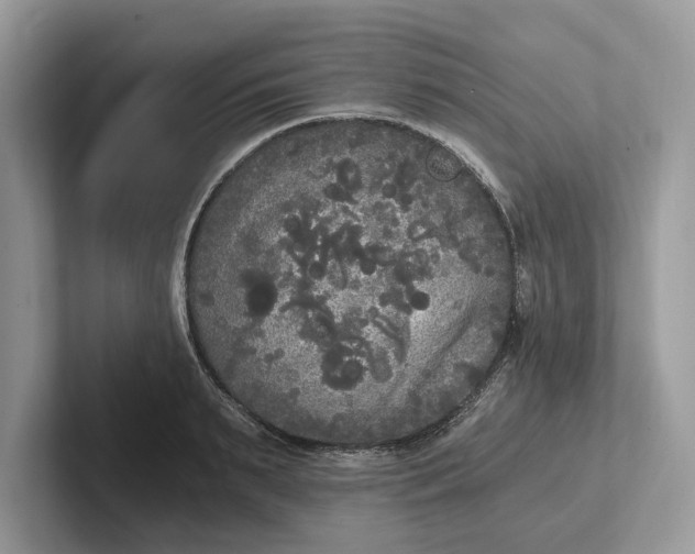 X0000101460895200807211331