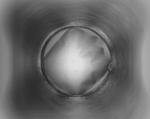 X0000101460896200807211331