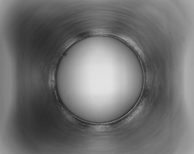 X0000101460897200807211331