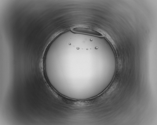 X0000101460898200807211331