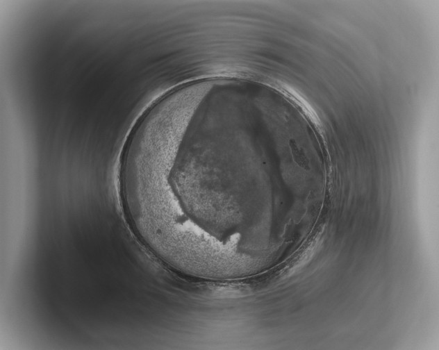 X0000101460899200807211331