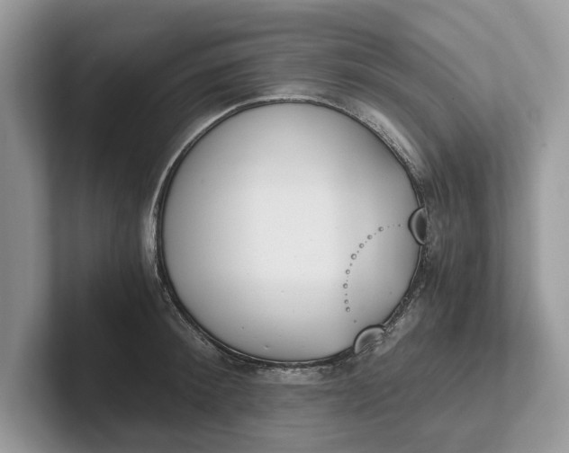 X0000101460900200807211331